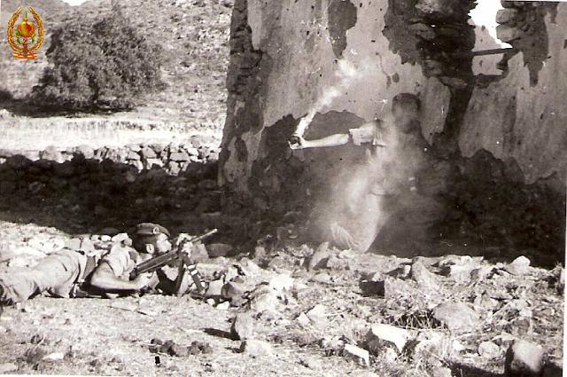 Maniobras y Guerrillas013.jpg